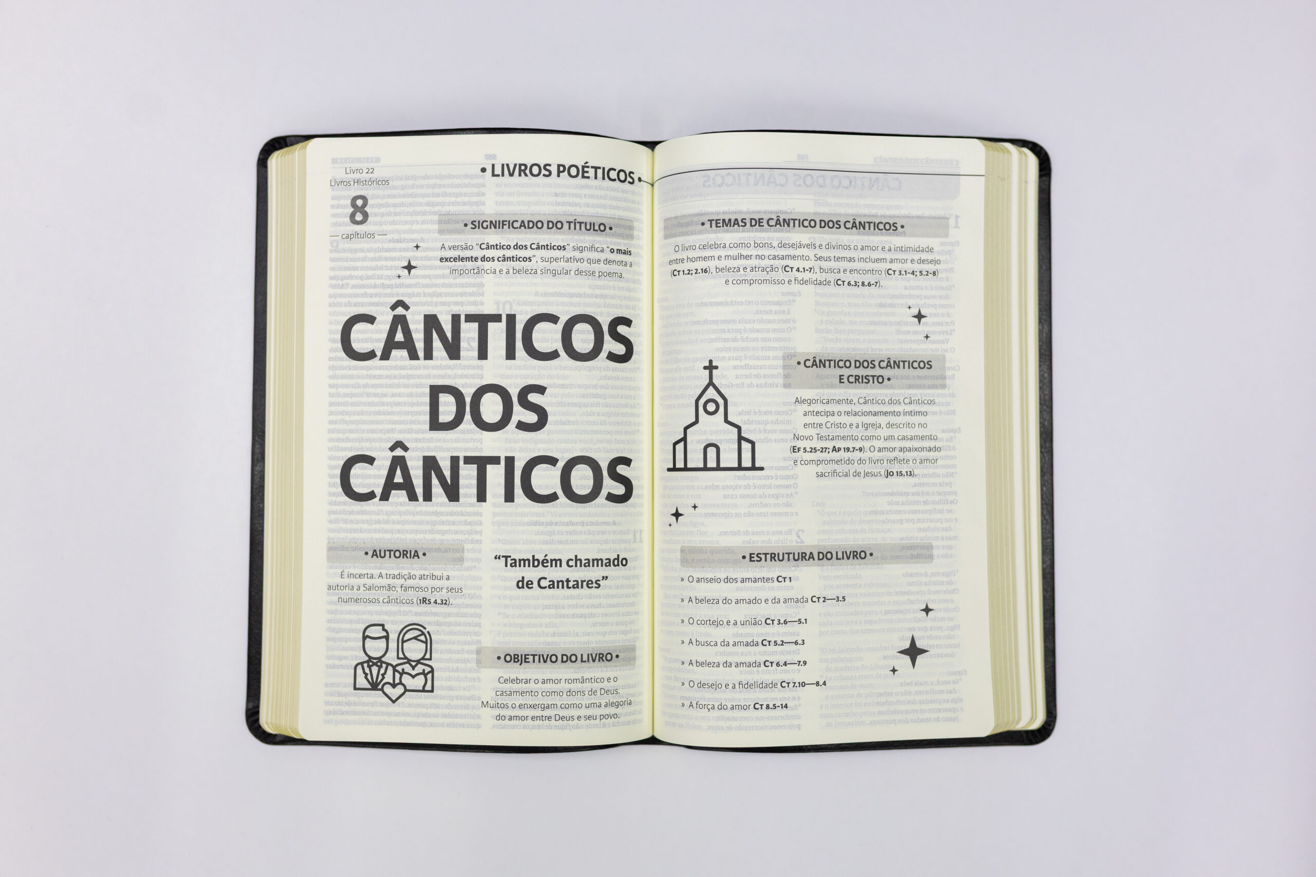 Editora Vida lança linha de Bíblias com mapas mentais